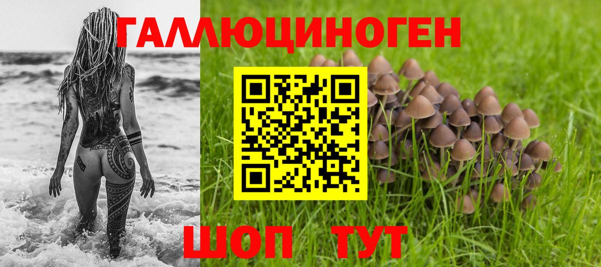 купить   Вход с VPN  Алапаевск  Псилоцибиновые грибы Cubensis 